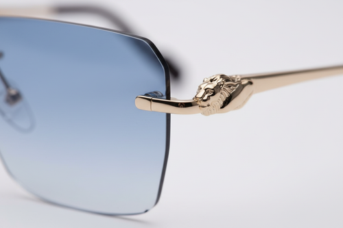 S1 - Alexander Lion Detail Close-Up